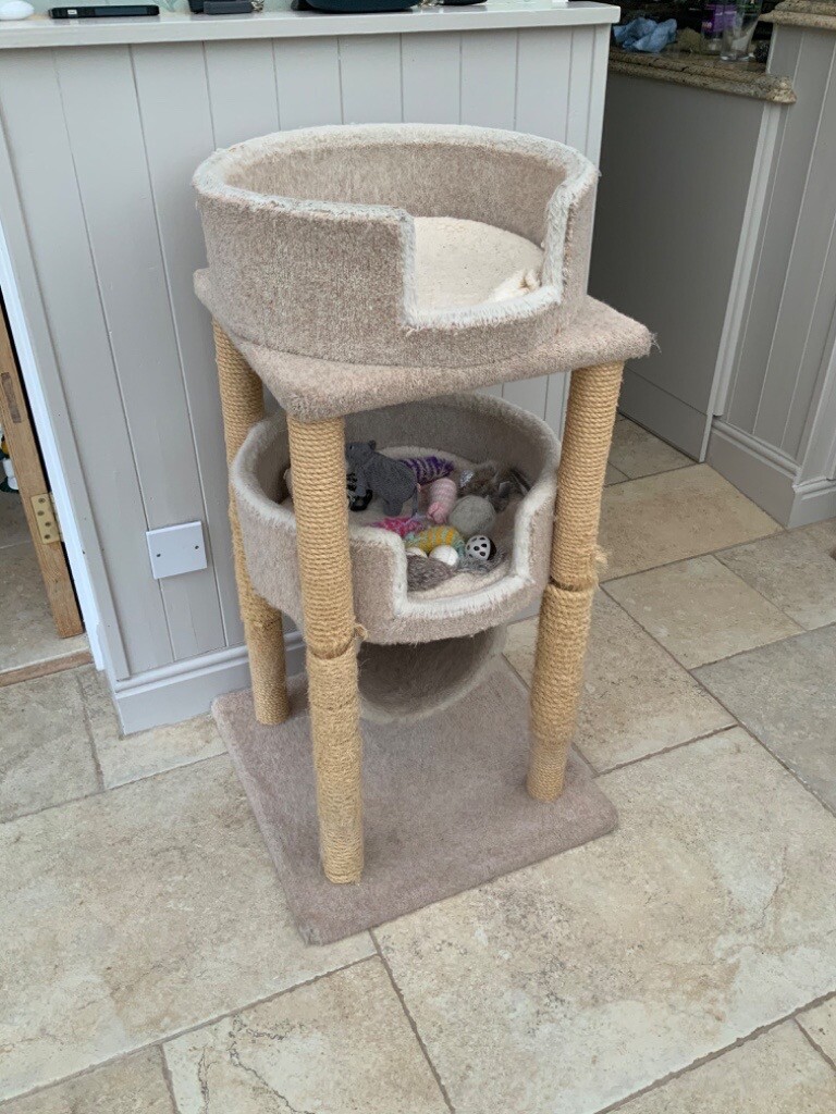 gumtree cat scratching post